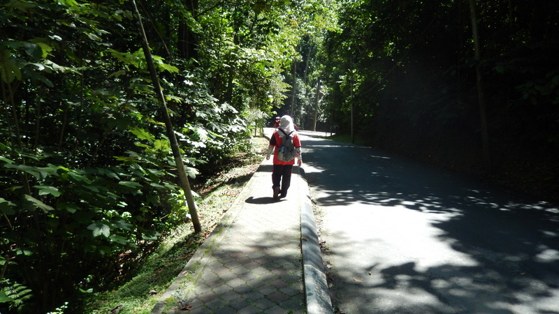 0786 DSCN0714